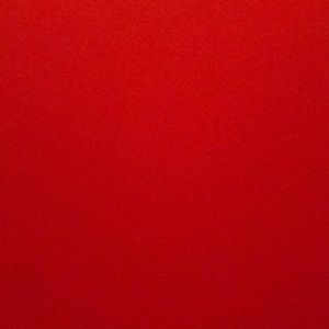 Meet your Posher, Bella